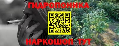МДПВ Пенза